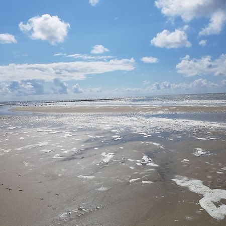 Romantisch Huisje Nabij Het Strand Met Uitzicht Op De Tulpenvelden Julianadorp Extérieur photo