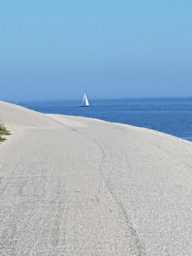 Romantisch Huisje Nabij Het Strand Met Uitzicht Op De Tulpenvelden Julianadorp Extérieur photo