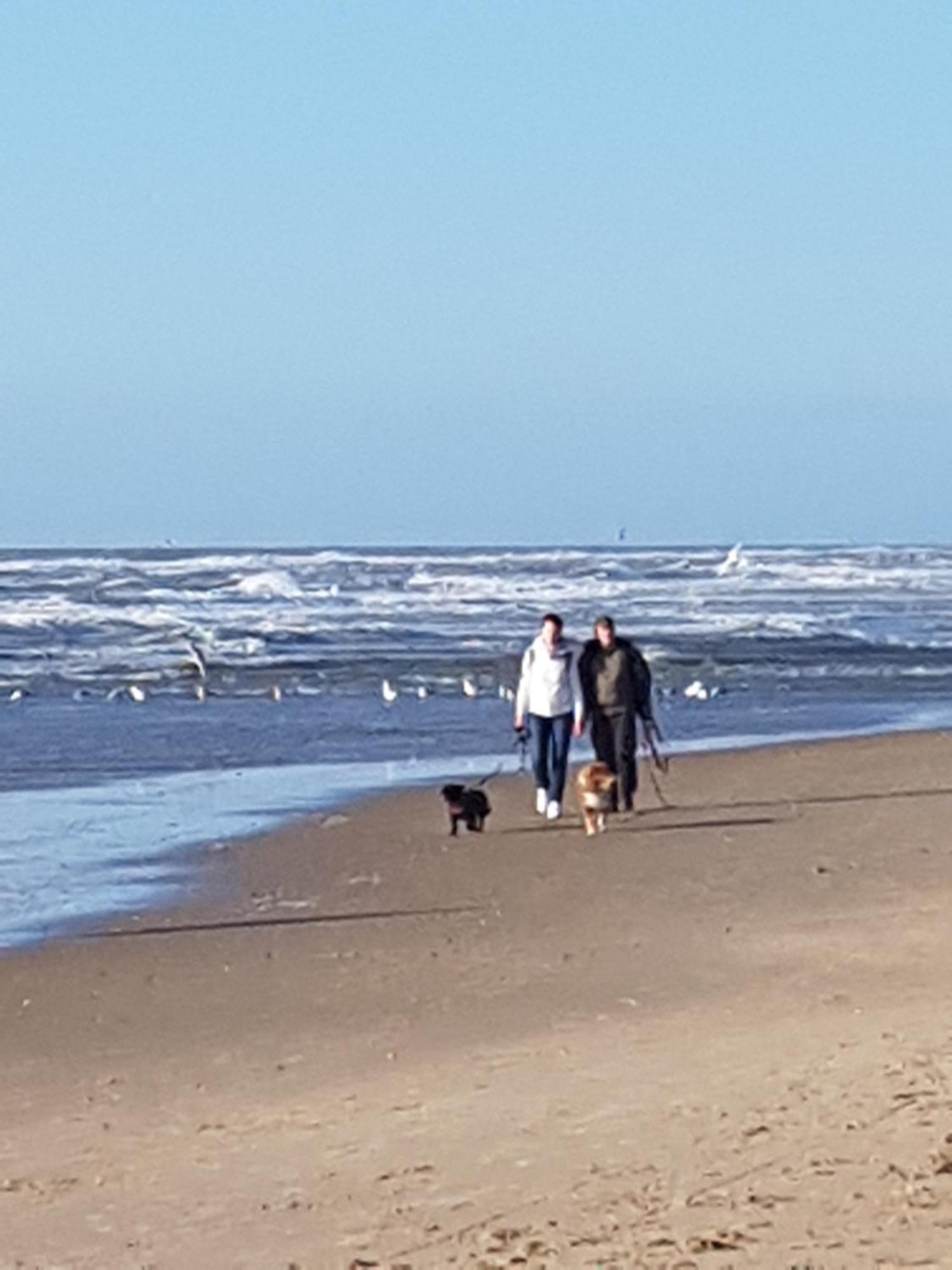 Romantisch Huisje Nabij Het Strand Met Uitzicht Op De Tulpenvelden Julianadorp Extérieur photo