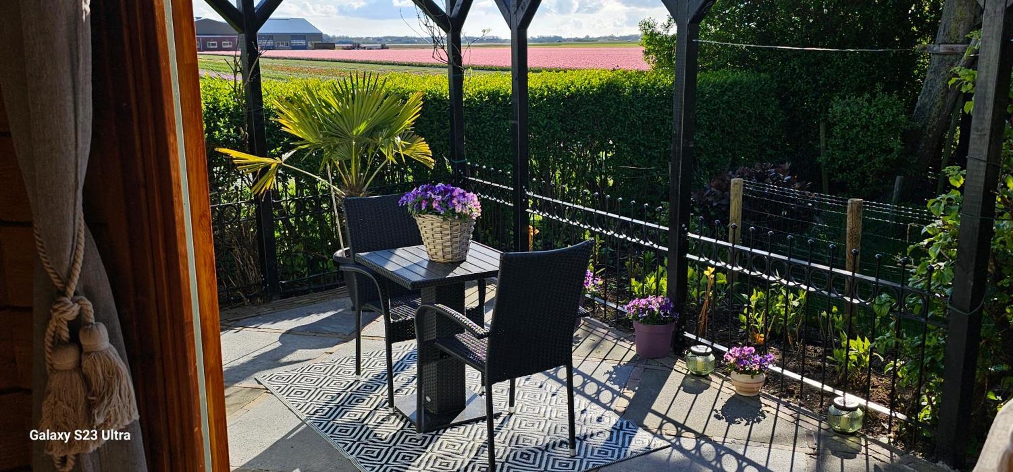 Romantisch Huisje Nabij Het Strand Met Uitzicht Op De Tulpenvelden Julianadorp Extérieur photo