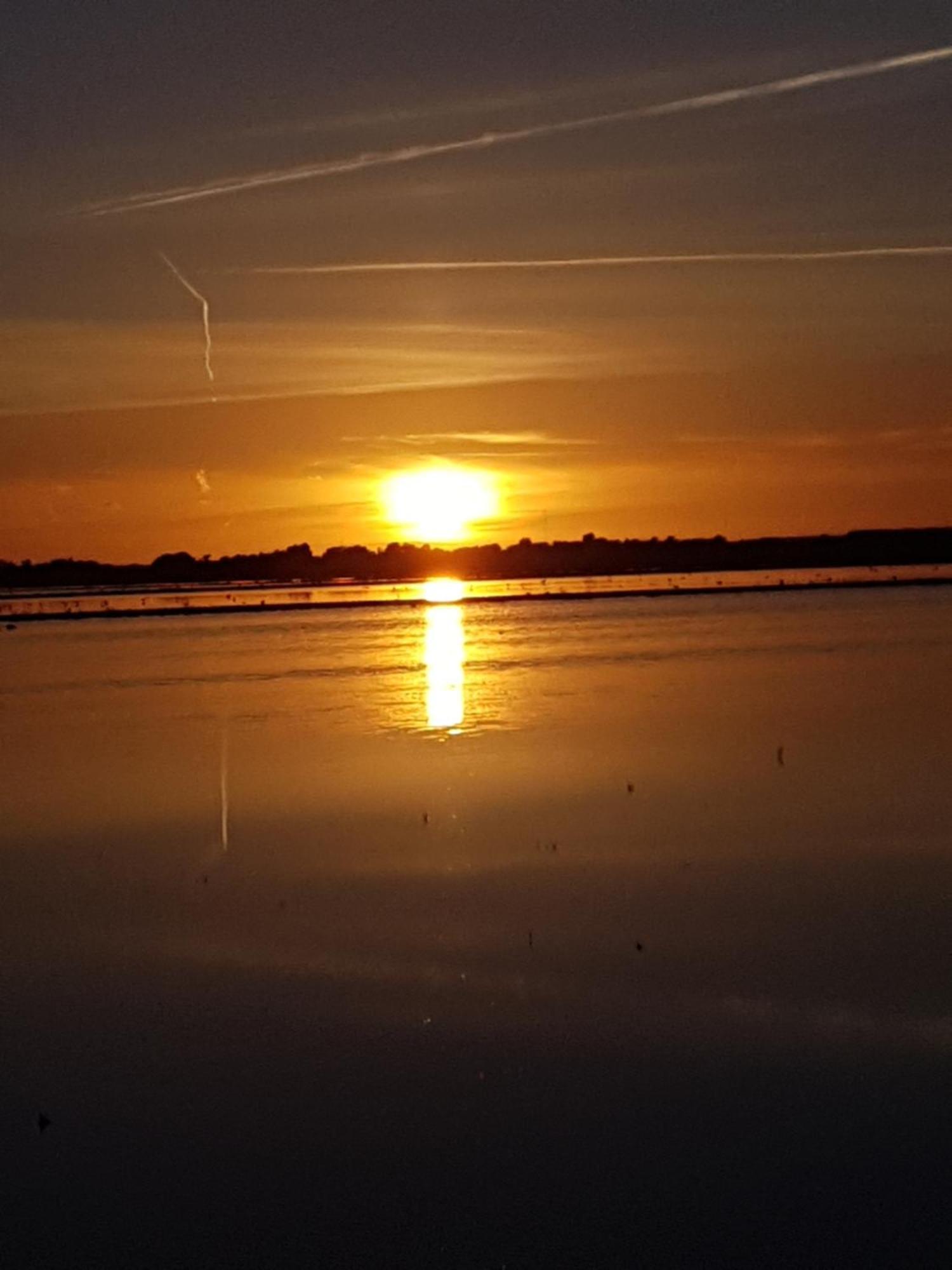 Romantisch Huisje Nabij Het Strand Met Uitzicht Op De Tulpenvelden Julianadorp Extérieur photo