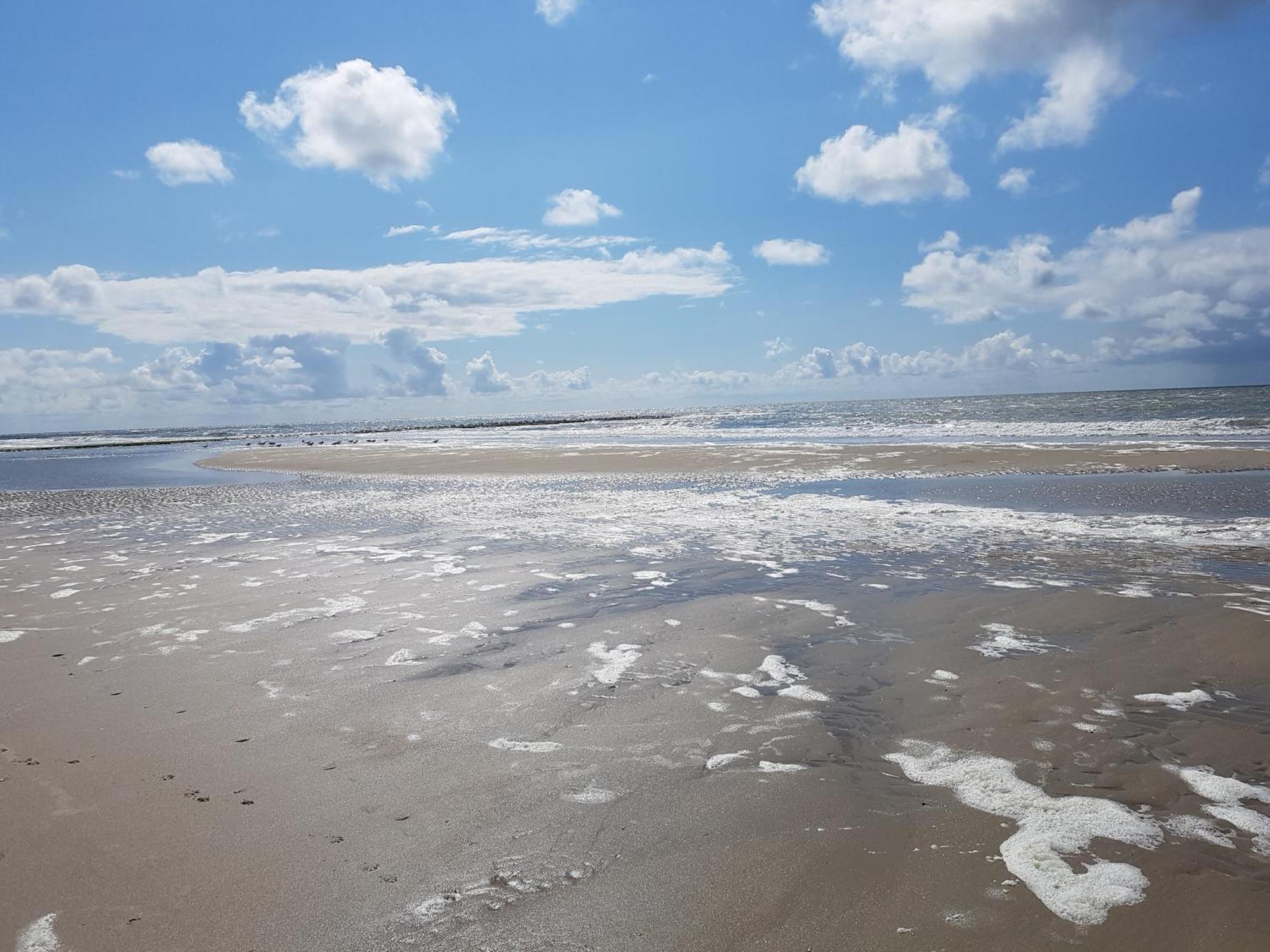 Romantisch Huisje Nabij Het Strand Met Uitzicht Op De Tulpenvelden Julianadorp Extérieur photo