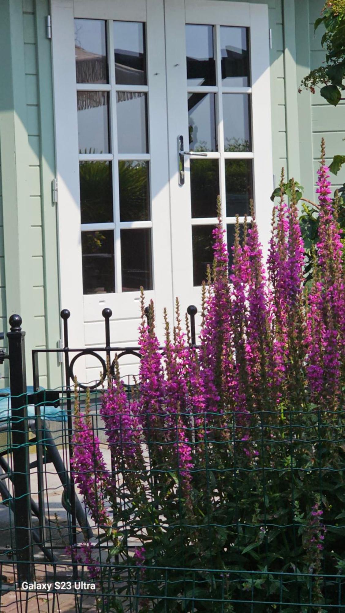 Romantisch Huisje Nabij Het Strand Met Uitzicht Op De Tulpenvelden Julianadorp Extérieur photo