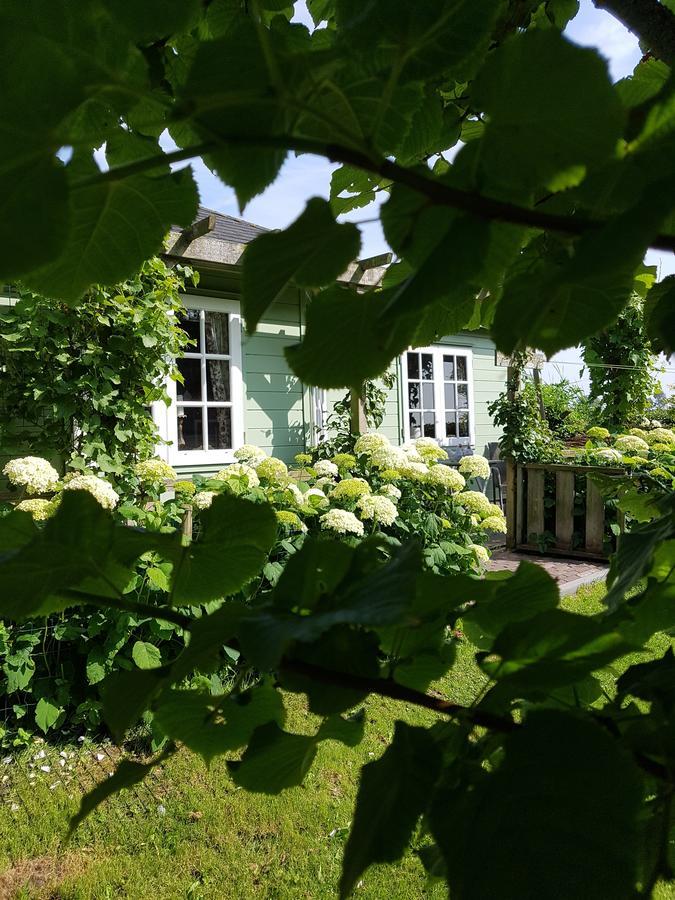 Romantisch Huisje Nabij Het Strand Met Uitzicht Op De Tulpenvelden Julianadorp Extérieur photo